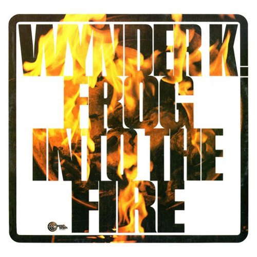 Into the Fire [LP] [VINYL]