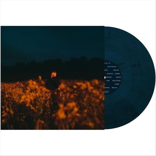 

Some Things Break [LP] - VINYL