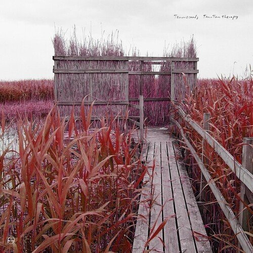 

Tan-Tan Therapy [LP] - VINYL