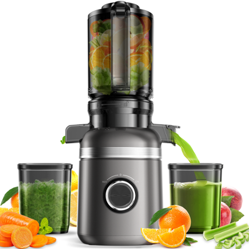 GlowWise - Cold Press Masticating Juicer 80 RPM Slow Juicer Ultra-Quiet, High Yield - Juices Fruits, Veggies, Wheatgrass - Titanium Gray-Front_Standard 