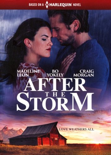 

After the Storm [2019]