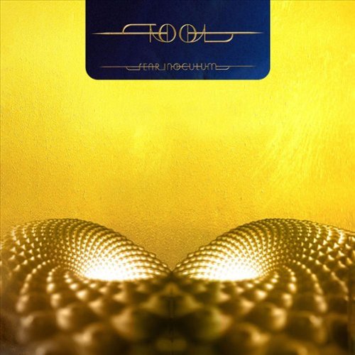 Fear Inoculum [LP] [VINYL]-Front_Standard 