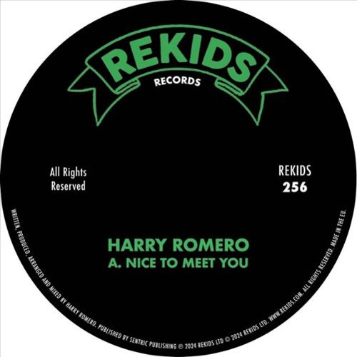 Nice to Meet You [12 inch Vinyl Single]