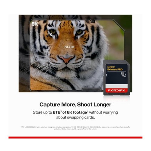 SANDISK 256GB Extreme PRO UHS II V90 SDXC Memory Card - Best Buy