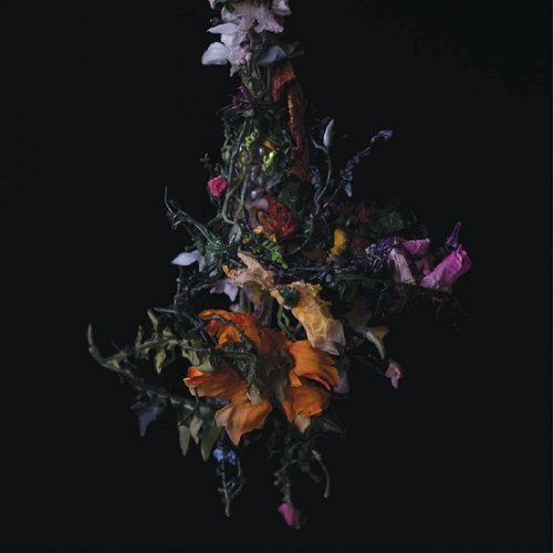 

nature morte [LP] - VINYL
