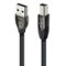 AudioQuest - Carbon USB A > B 4.9'   High-Definition Audio Cable with USB-A to USB-B Connectors - Gray on Black-Front_Standard 