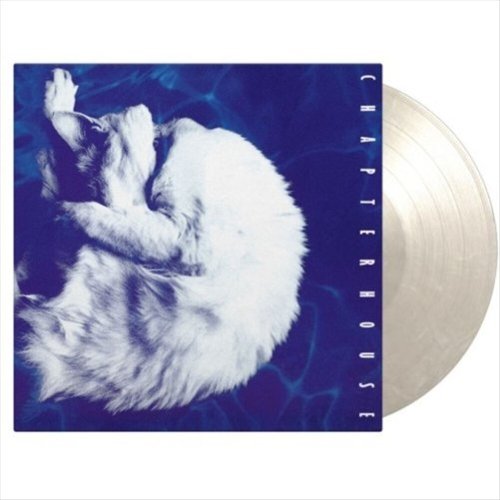 

Whirlpool [LP] - VINYL