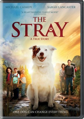  The Stray [DVD] [2017]