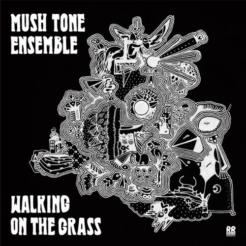 

Walking on the Grass [LP] - VINYL