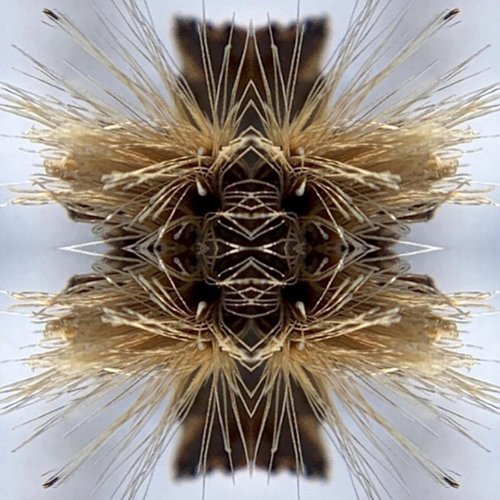 

Sutra [LP] - VINYL