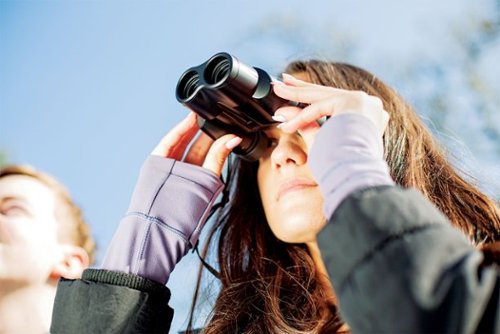 Nikon SPORTSTAR ZOOM  8-24X25 - Black GLOBAL SHIPPING