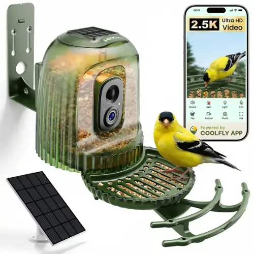 Multi Color Changing