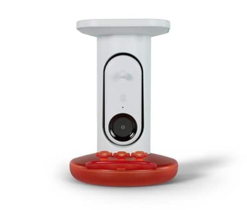 Bird Buddy - Smart Hummingbird Feeder with Solar Roof - White