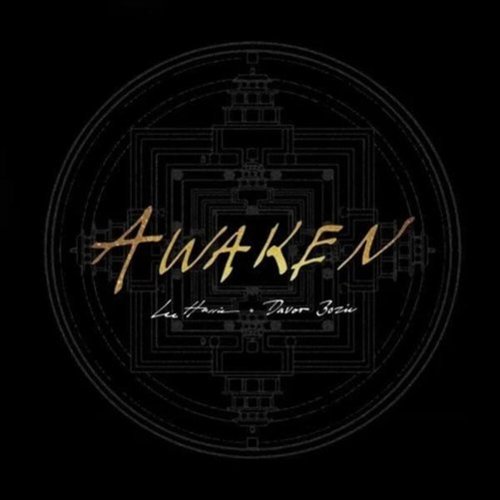 UPC 198003114388 product image for Awaken [LP] - VINYL | upcitemdb.com