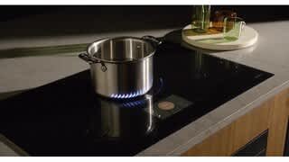Dacor Technology Virtual Flame video 0 minutes 16 seconds