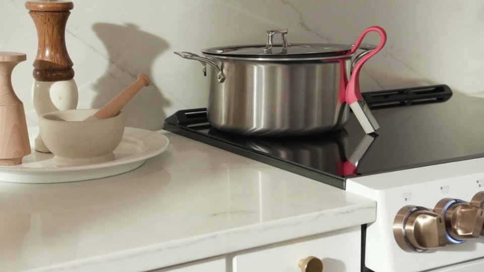 Precision Cooking Probe video 0 minutes 17 seconds