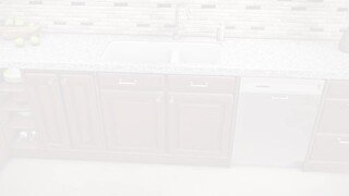 How a Disposal Works Video video 0 minutes 53 seconds