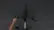 Bird Bike Overview Video video 1 minutes 06 seconds