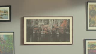 Samsung Frame TV: Customizable video 0 minutes 49 seconds