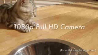 PetLibro Granary Automatic Pet Feeder w/Camera video 1 minutes 37 seconds