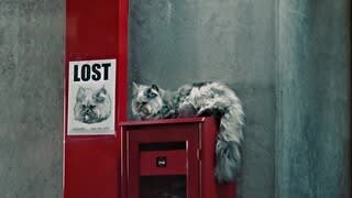 Galaxy S24 Series Reflection Removal Ad Video video 0 minutes 30 seconds