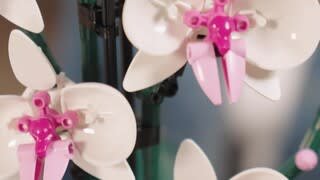 Must-Have LEGO Flowers To Brighten Your Home video 0 minutes 53 seconds