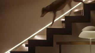 Set Your Lights to Welcome You Home video 0 minutes 20 seconds