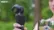 REMOVU 4K Video Camera Demo video 1 minutes 00 seconds