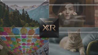 BRAVIA 8 OLED Overview Video video 1 minutes 50 seconds