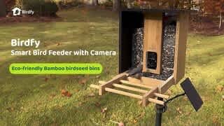 Bamboo Feeder Overview Video video 0 minutes 20 seconds