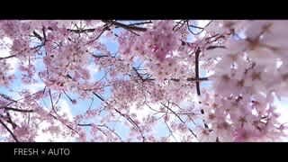 Sony ZV-1 II Cinematic Vlog Setting Product Feature Video video 0 minutes 40 seconds