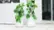 See what this family grows with their Farmstand video 0 minutes 44 seconds