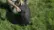 Manfrotto D1 Drone Backpack Demo video 1 minutes 29 seconds
