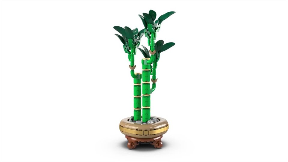 360 Spin of Botanicals Lucky Bamboo Building Set for Adults video 0 minutes 07 seconds