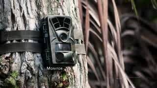 H2 Trail Camera video 1 minutes 26 seconds