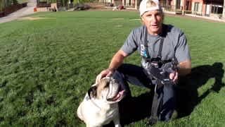 GoPro Fetch Tips and Tricks video 2 minutes 34 seconds