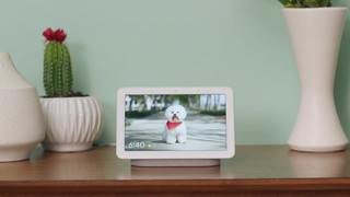 How to Save Dinner with Google Nest video 0 minutes 14 seconds