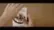 Animal Zoo 4D+ Cards video 1 minutes 03 seconds