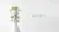 See How Quickly the Plants Grow video 0 minutes 06 seconds