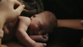 Koko the Panda Full length video video 1 minutes 04 seconds