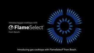Bosch FlameSelect vs. Conventional Gas Product Info Video video 0 minutes 30 seconds