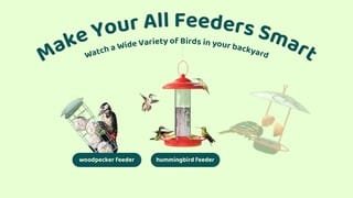 Birdfy AI Camera Overview Video video 0 minutes 45 seconds