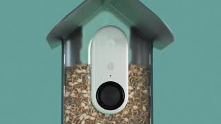 Bird Buddy - Smart Bird Feeder Advertisement Video video 0 minutes 15 seconds