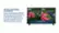 Insignia - 55 Class F30 Series LED 4K UHD Smart Fire TV Features video 1 minutes 29 seconds