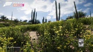 Forza Horizon 5 video 0 minutes 15 seconds