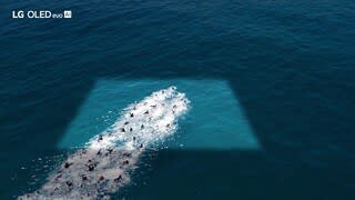 LG OLED evo AI Overview video 0 minutes 29 seconds