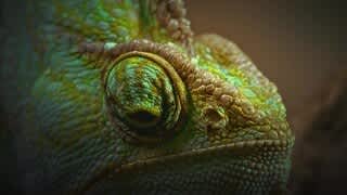 Floodlight Cam 2 Pro Overview video 0 minutes 49 seconds