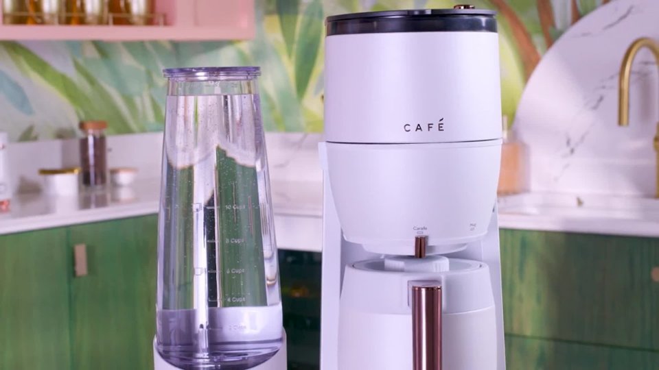 Gold Cup Standard video 0 minutes 37 seconds