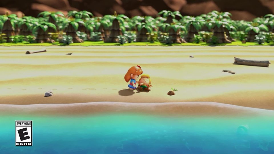 Zelda Link's Awakening for Nintendo orders Switch