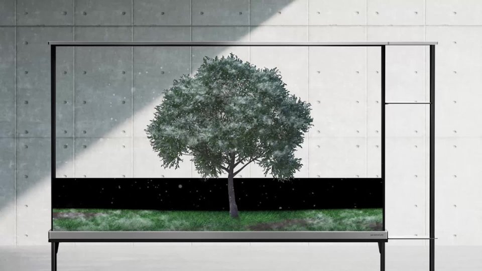 OLED77T4PUA Curtain Call Video video 0 minutes 10 seconds